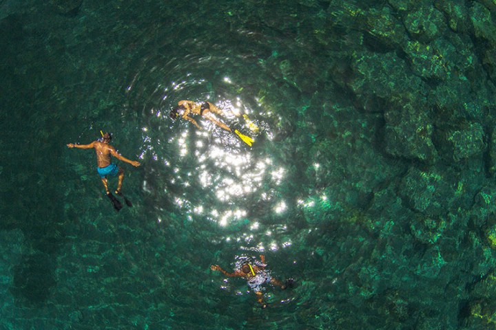 people snorkeling